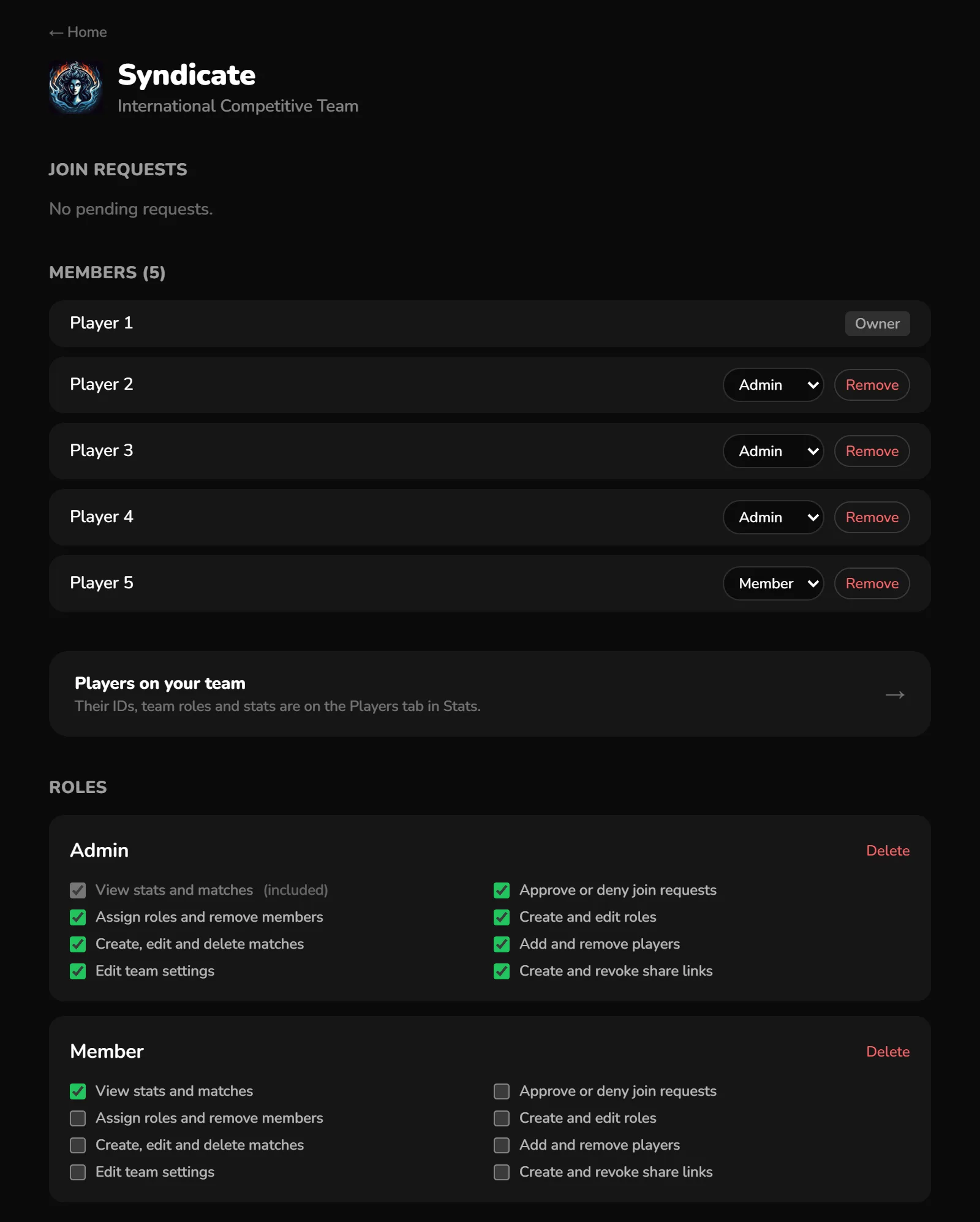 A team's page: join requests, the member list, a link to the team's players, and roles with their permission checkboxes
